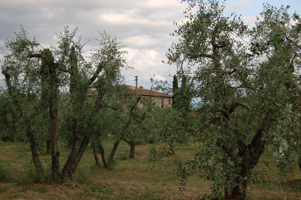 Podere Scaluccia 임프루네타 외부 사진