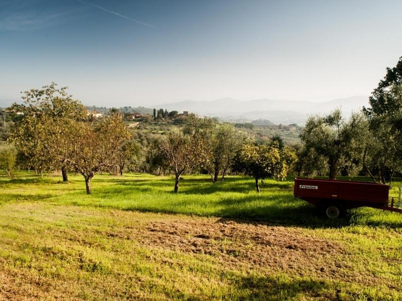 Podere Scaluccia 임프루네타 외부 사진